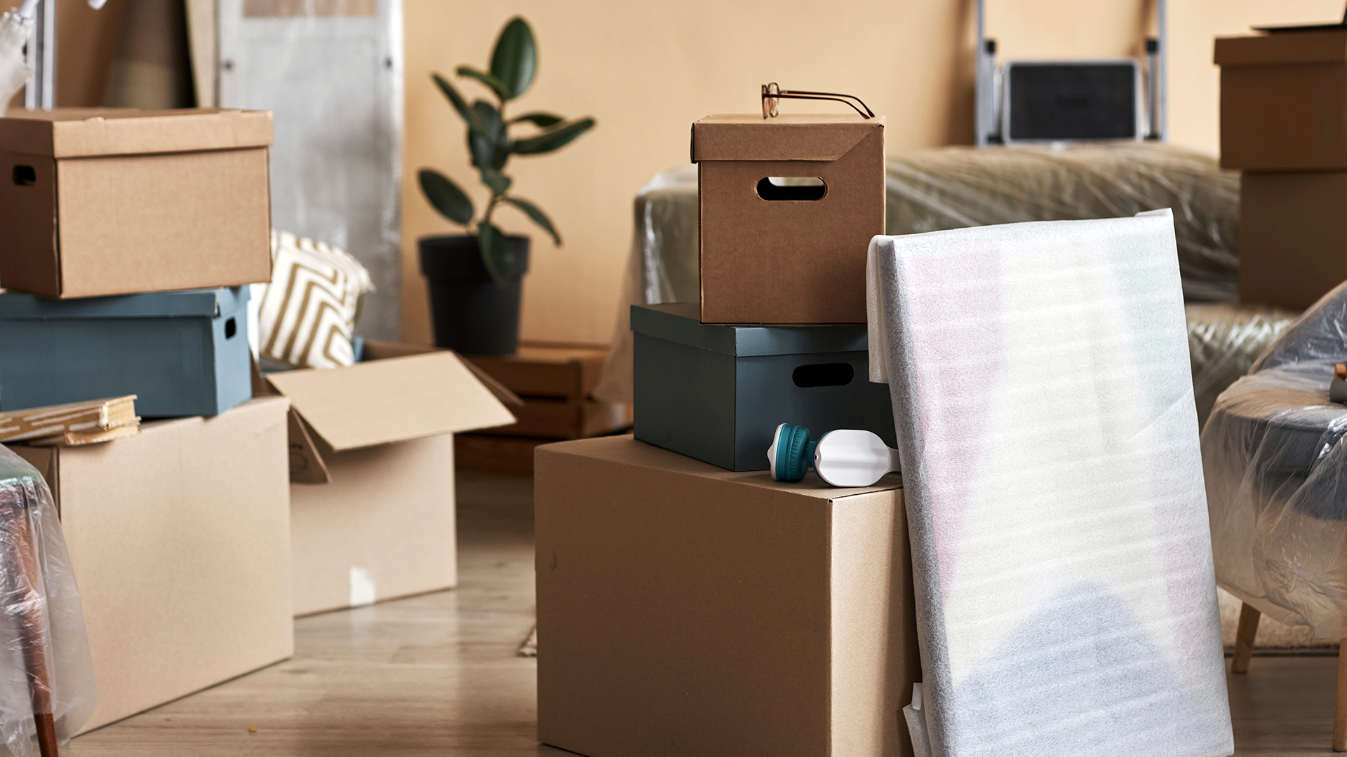 deceased estate clearance geelong
